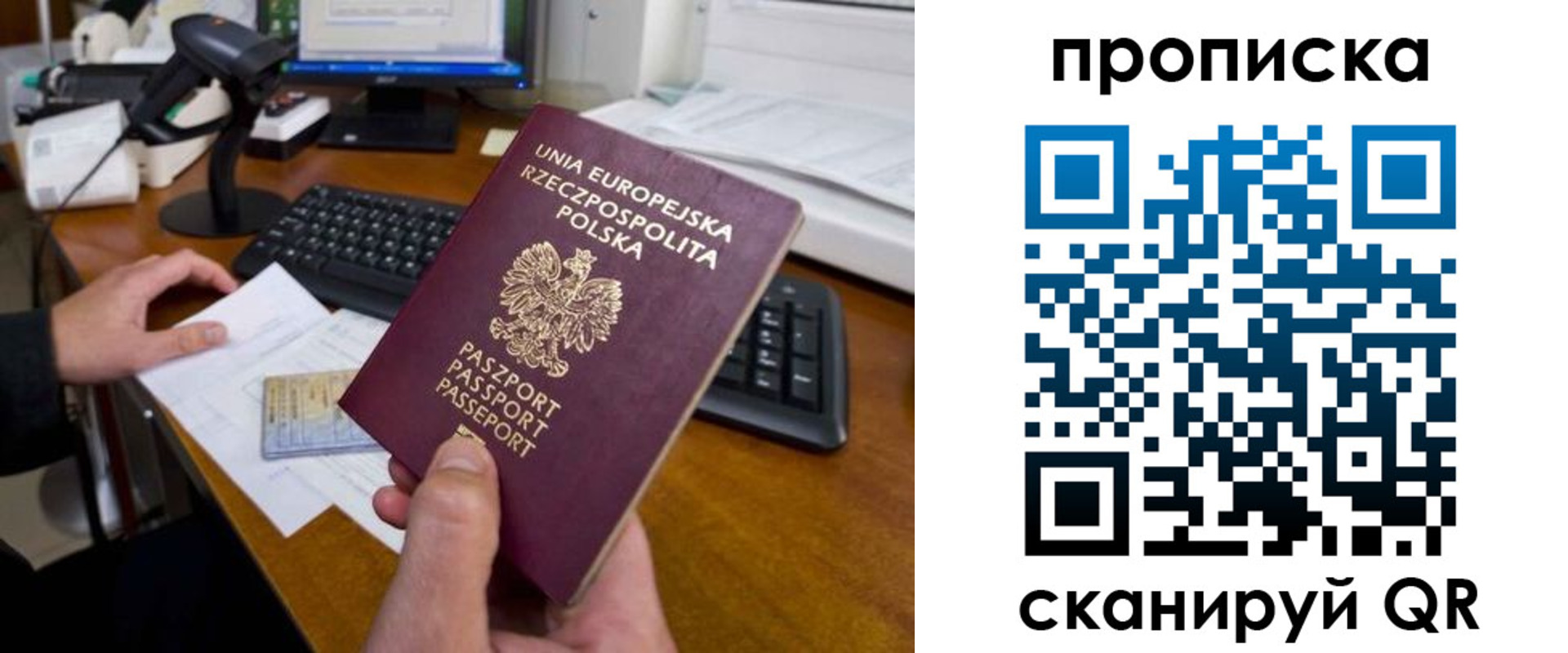 прописка для школы в Льгове